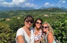 Tour in the Prosecco Hills Tour from Padua