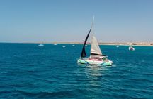 3 hrs. Eco catamaran Adventure Marina in Sal Cape Verde
