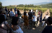 Guided tour and tasting at Fattoria La Leccia