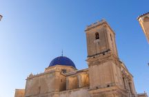 Cultural Tour of the Palmeral and Historic Center of Elche