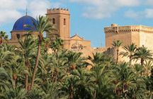 Cultural Tour of the Palmeral and Historic Center of Elche