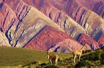 Hornocal and Solar Train Tour of Humahuaca and Purmamarca