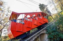 Discover Santiago: Tourist Bus, Cerro San Cristobal and Wine