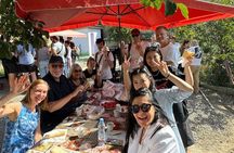 Day Trip to Kakheti Wine Region Including 9 Wine Tastings