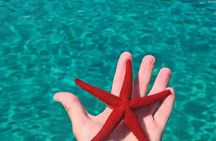 Zadar: Small Group Boat Tour with Drinks & Snorkeling
