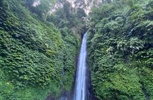 Private North Bali Tour from Celukan Bawang Cruise Port