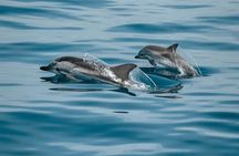 Bali and Lovina with Sunrise Dolphin Tour and Snorkeling