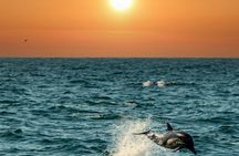 Bali and Lovina with Sunrise Dolphin Tour and Snorkeling