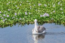Lake Naivasha & Hell’s Gate National Park Day Tour from Nairobi
