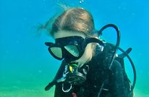 Beginner Scuba and Snorkeling Ocean Adventure in Honolulu