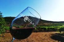 Private South Vineyards Premium Tour – Tastings & Lunch Included