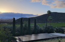Private South Vineyards Premium Tour – Tastings & Lunch Included