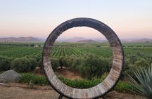 Private Vineyards Tour: Wine & Food Included