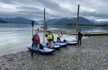 Juneau Kayak, Glacier Viewing and Hiking Tour