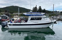 Private Whale Watching Experience (Up to 6 Guests)