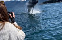 Private Juneau Adventure Whale Watching Kayaking and Glacier View