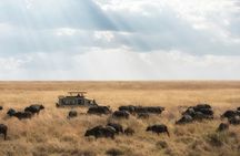 2 Days Tanzania Joining Group Safari to Tarangire and Ngorongoro