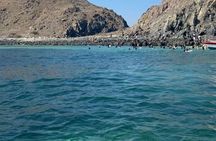 East Coast Fujairah and Khorfakkan Nature and Heritage View Tour