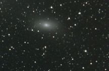 Yosemite Nights: 90-Minute Stargazing and Stories Tour