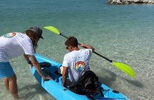 Clearwater Dolphin Kayak Tour and Bird Island Adventure
