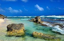 Private Tour in Cozumel by Jeep with Beach Club and Lunch