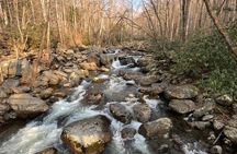 Great Smoky Mountains Rare Synchronous Firefly Waterfalls Walk