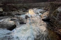 Great Smoky Mountains Rare Synchronous Firefly Waterfalls Walk