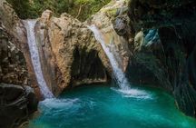 Puerto Plata: Monkeys & 7 Waterfalls Adventure