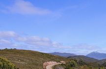 Gordon Dam and Lake Pedder Wilderness Day Tour From Hobart