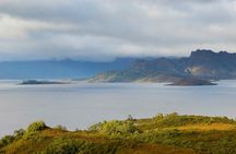 Gordon Dam and Lake Pedder Wilderness Day Tour From Hobart