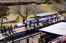Takachiho Gorge Train Sea of Clouds Amano Iwato Shrine and Cave