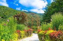 Nami Island, Railbike & Morning Calm Private Tour from Seoul