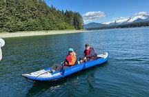 Juneau Kayak, Glacier Viewing and Hiking Tour