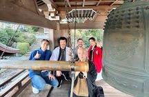 Shimizu Port Pickup: Mt. Fuji Zen & Matcha Experience
