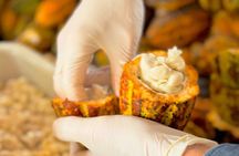 Thai Chocolate Experience in Chiang Mai
