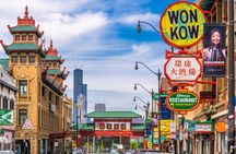 Chicago Private Neighborhoods Tour to Lincoln and Hyde Park