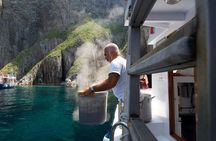 Ponza Island 5 Hour Boat Tour with Lunch and Snorkeling Option