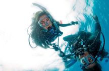 Discover Scuba Diving your first underwater experience