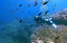 Discover Scuba Diving your first underwater experience