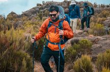 6 Days Machame route Kilimanjaro climbing
