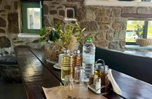 Mykonos Swim and Lunch Adventure Tour