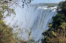 Guided Victoria Falls Tour: Nature & Photography