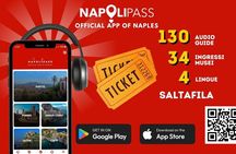 Napolipass Naples City Card Mann Capodimonte Pompeii ReggiaCaserta