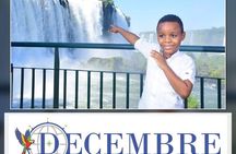 iguazu Falls HalfDaytour Brazilian Side(Private Solo/Group Solo)