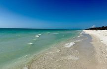 Private Luxury Keewaydin Island Shelling and Beach Excursion