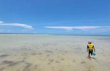 Private Luxury Keewaydin Island Shelling and Beach Excursion