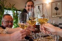 Parmigiano Wine and Balsamic Vinegar Experience from Bologna