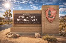 Joshua Tree National Park Small Group Day Tour from Los Angeles