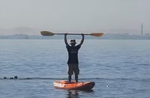 Seal Kayaking at Pelican Point from Swakopmund