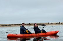 Seal Kayaking at Pelican Point from Swakopmund